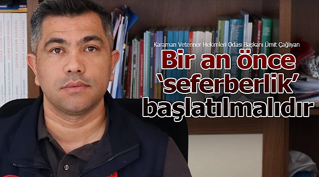 Çağlayan; "kısırlaştırma seferberliği" başlamalıdır